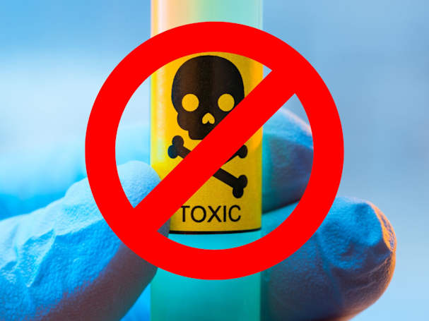 Illegale Maßnahmen gegen den Maulwurf